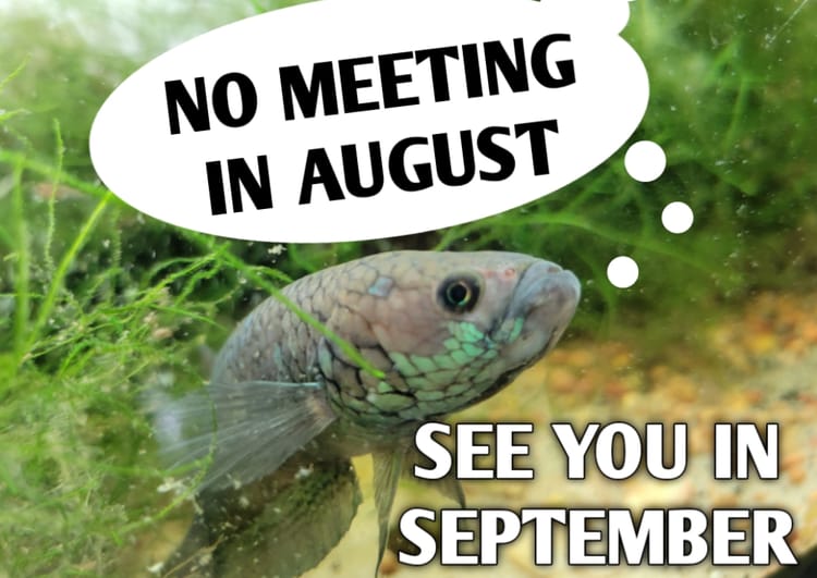 August 2024 Monthly Meeting