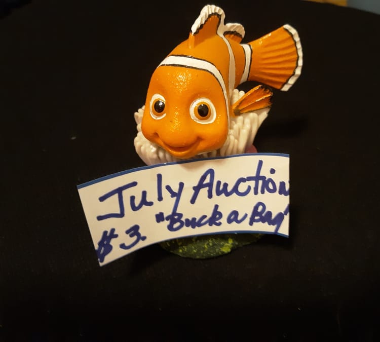 July 21st Summer Auction, "Buck A Bag"