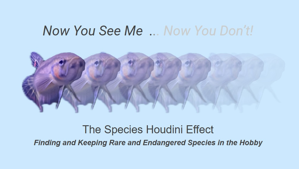 July Meeting - Finding and Keeping Rare and Endangered Species in the Hobby
